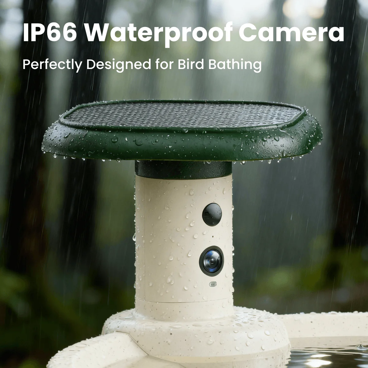 Birdfy Bath Jolly O - Solar-Powered Smart Birdbath - Image 7