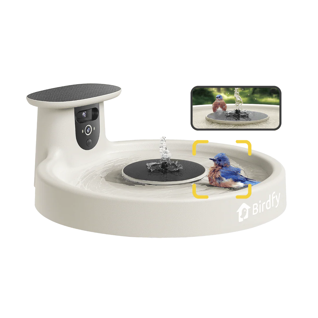 Birdfy Bath Pro - Solar-Powered Smart Birdbath with Fountain - Image 15