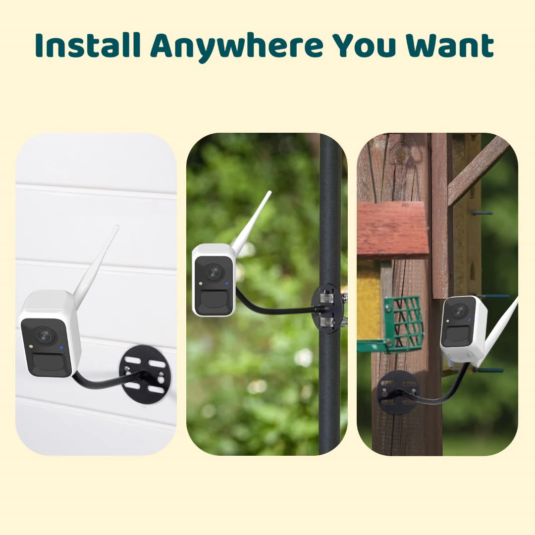 Birdfy Cam - Smart Birdwatching Camera with Bendable Mount - Image 6