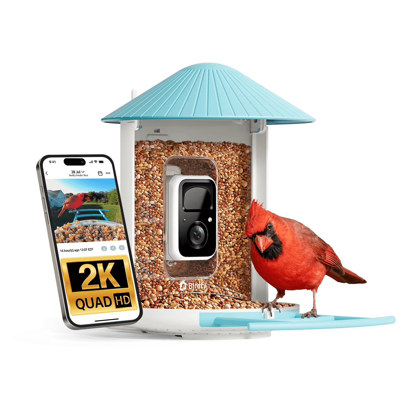 Birdfy Feeder - AI-Powered Smart Bird Feeder with Camera - Image 14