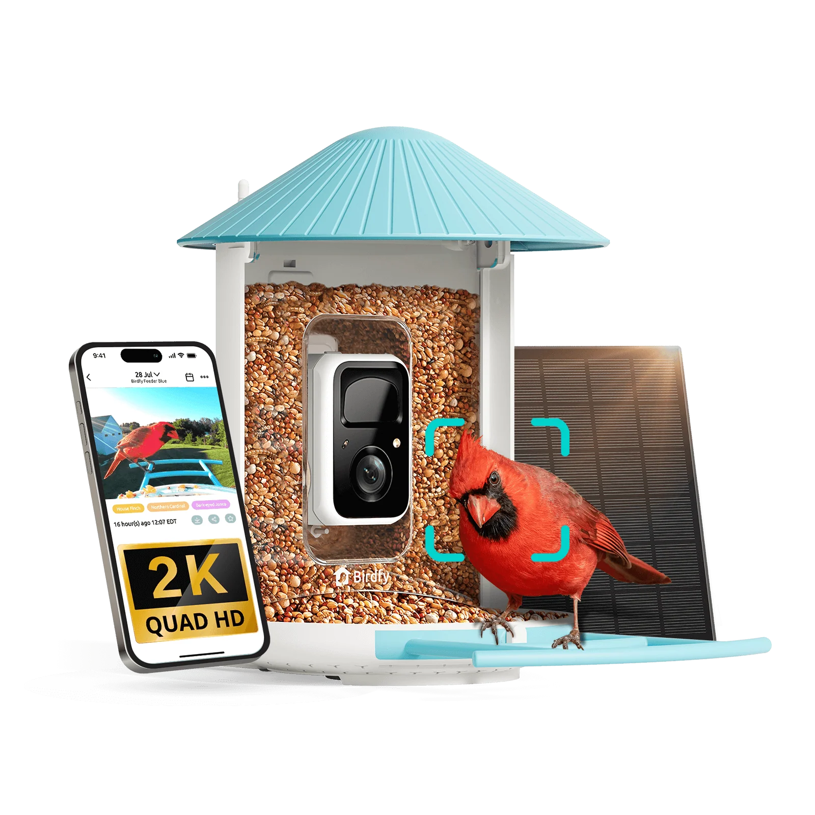 Birdfy Feeder with Solar Panel - Solar-Powered Smart Bird Feeder with Camera - Image 17