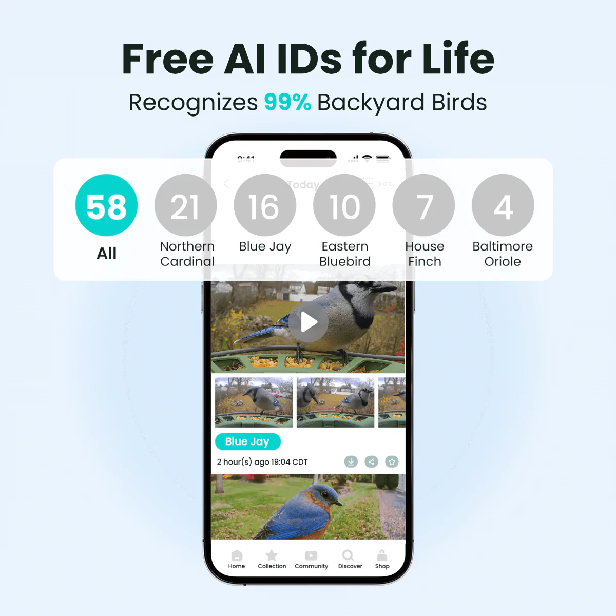 Birdfy Feeder 2 Pro - Dual-Lens Smart Bird Feeder with Camera - Image 5