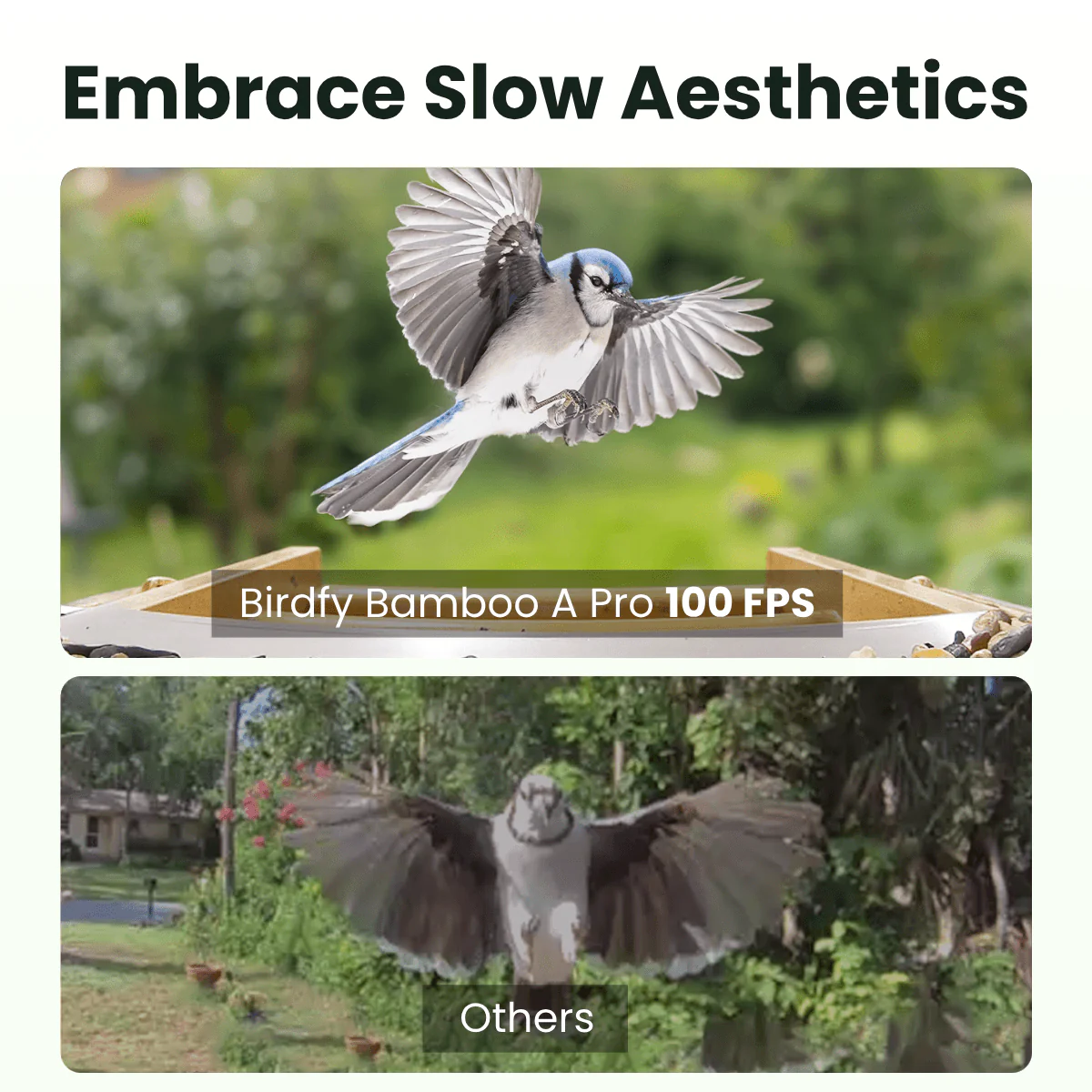 Birdfy Feeder Bamboo A Pro - Smart Metal Feeder with Camera - Image 4