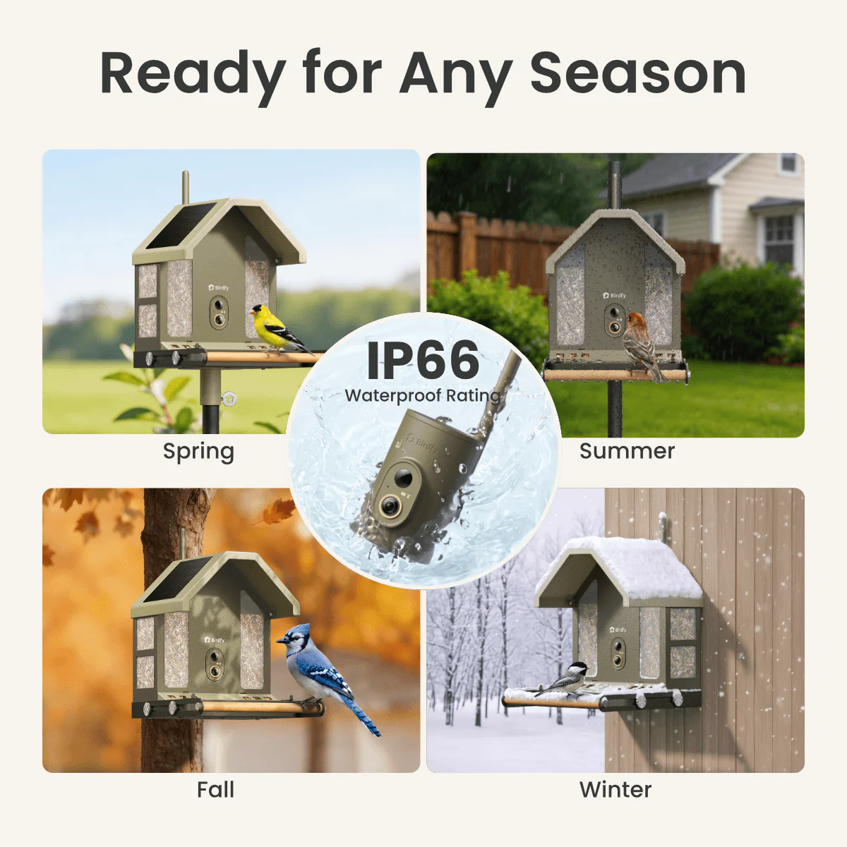 Birdfy Feeder Metal 2 4K - Smart Bird Feeder with Camera - Image 10