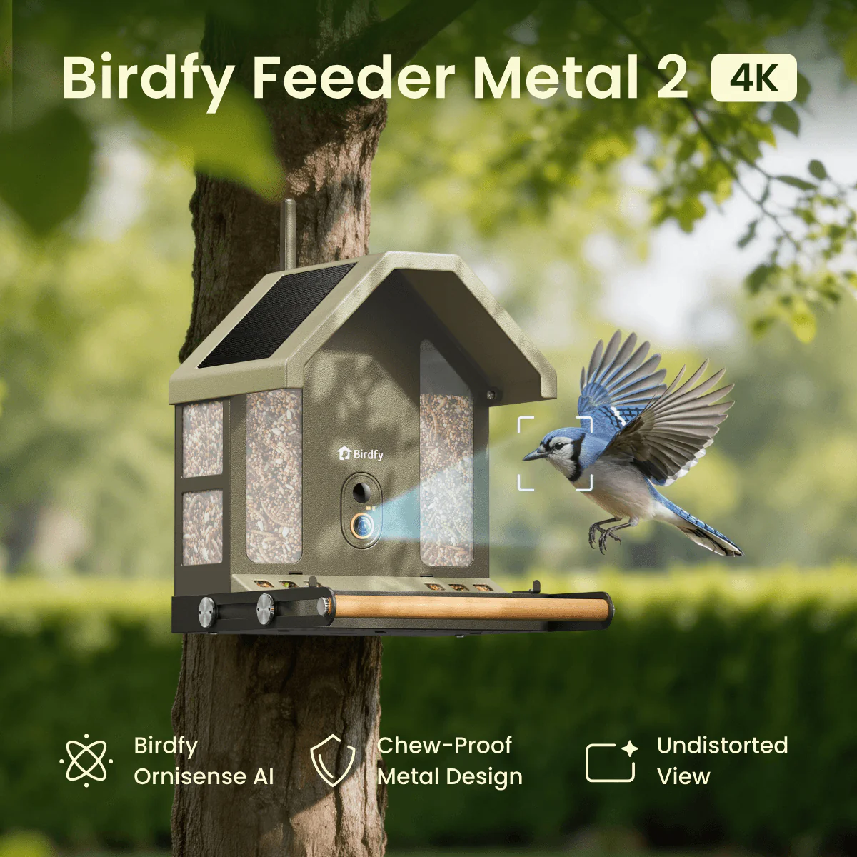 Birdfy Feeder Metal 2 4K - Smart Bird Feeder with Camera - Image 3