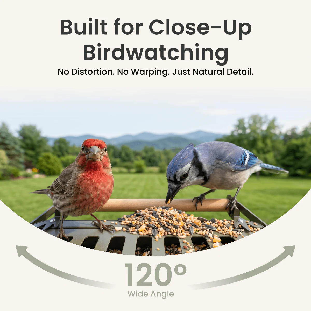 Birdfy Feeder Metal 2 4K - Smart Bird Feeder with Camera - Image 5