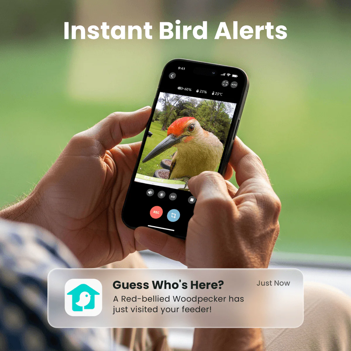 Birdfy Feeder Metal -  Limited Father's Day Gift Set | Smart Bird Feeder with Camera - Image 4