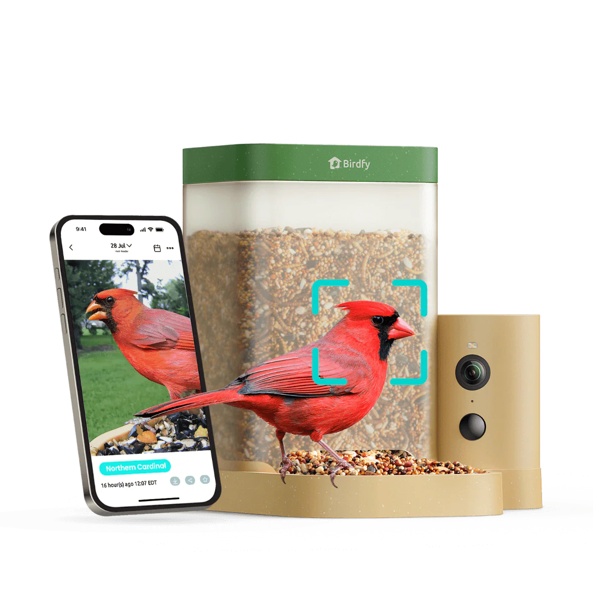 Birdfy Feeder Rookie - Beginner-Friendly Smart Bird Feeder Green - Image 14