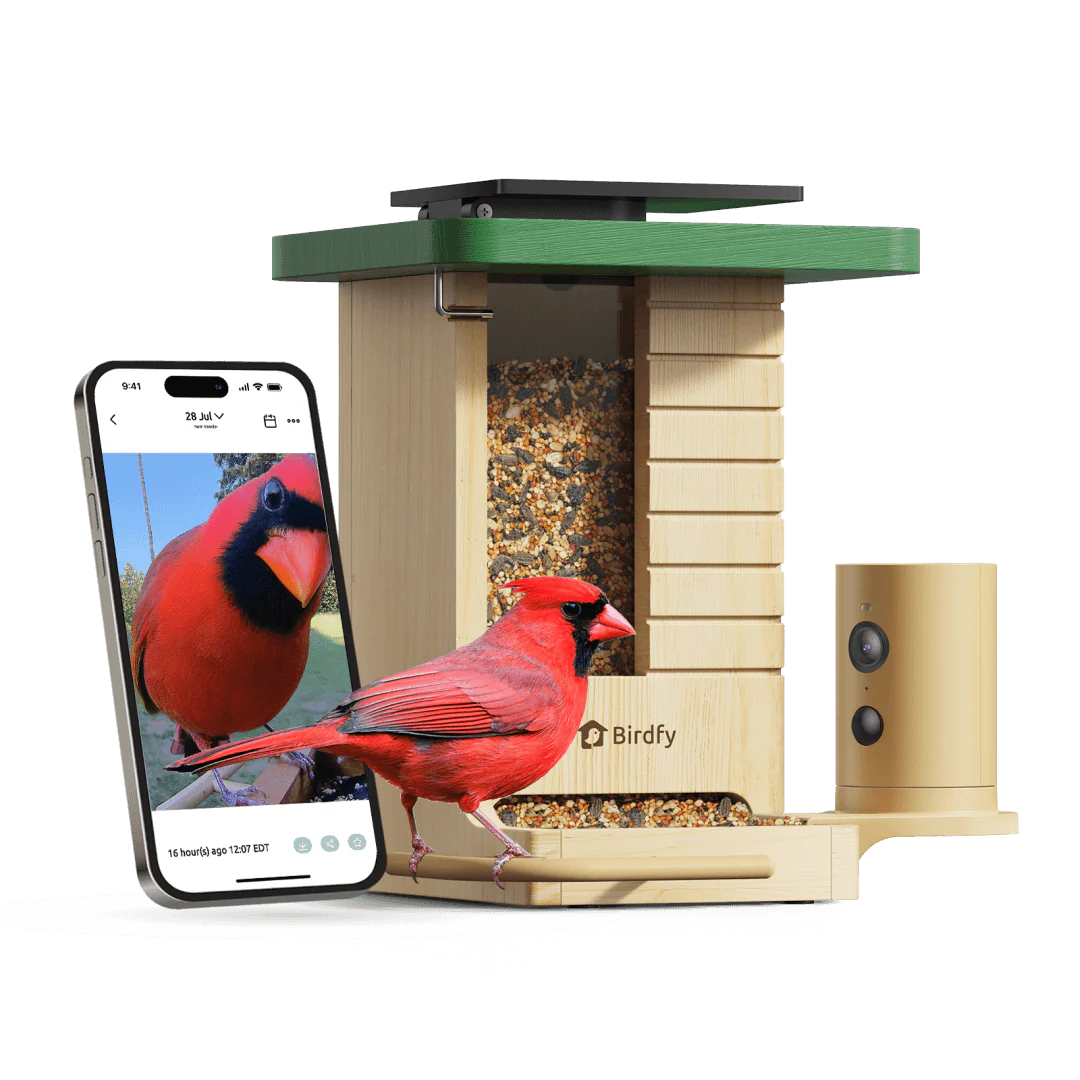 Birdfy Feeder Wood - Wooden Smart Bird Feeder with Camera - Image 14