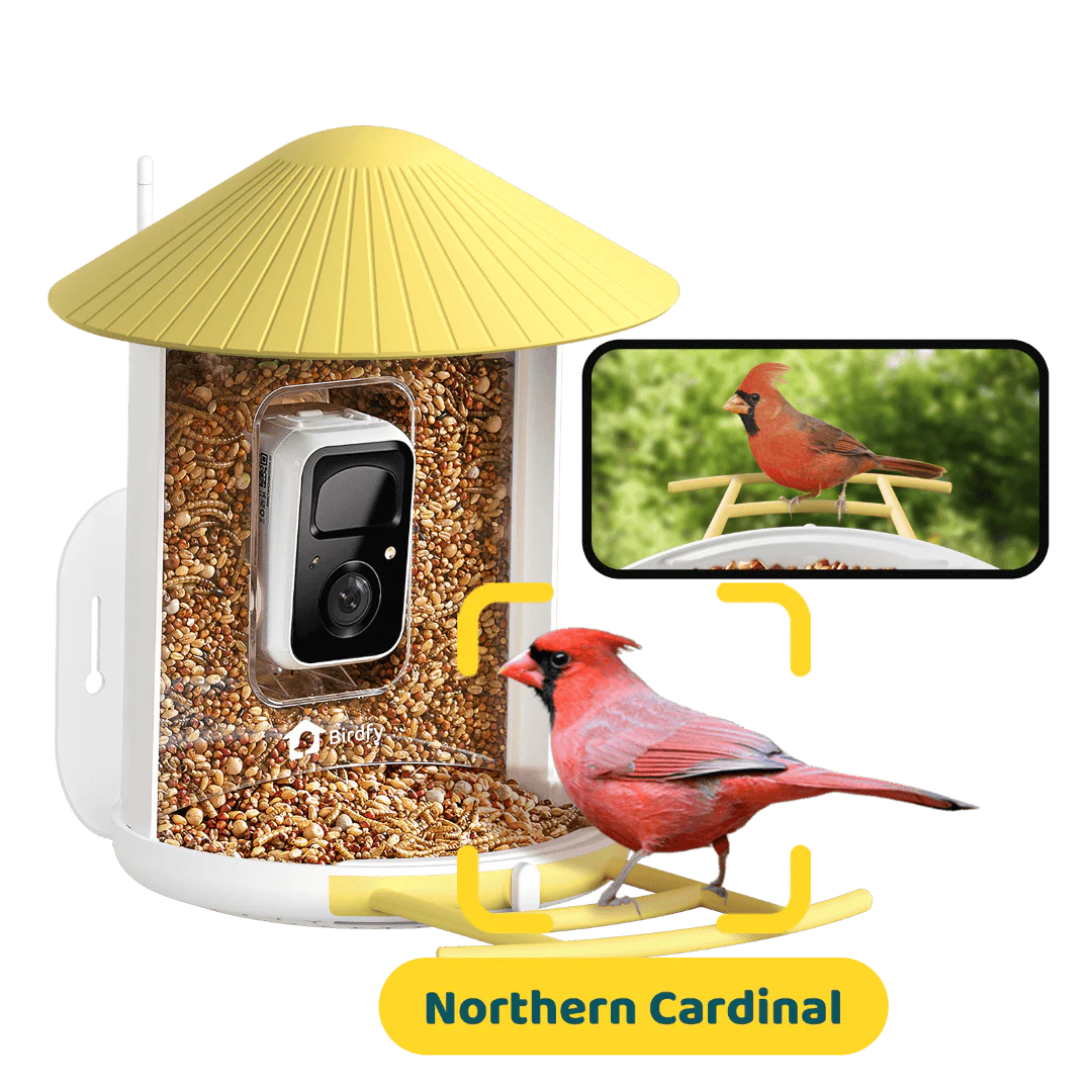 Birdfy Feeder - AI-Powered Smart Bird Feeder with Camera-Yellow - Image 14