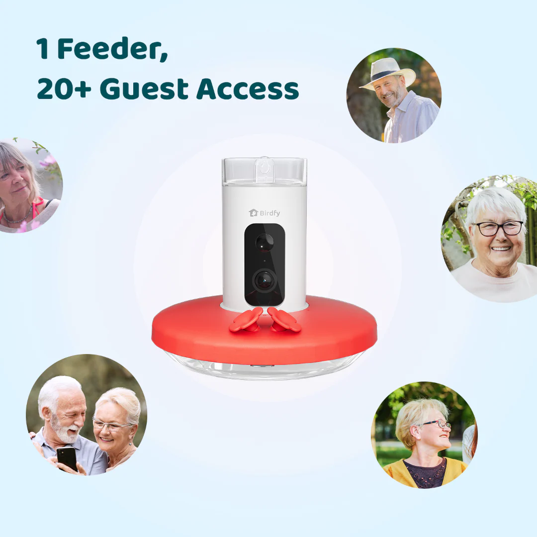 Birdfy Hum Feeder - Hummingbird Feeder with Camera - Image 8