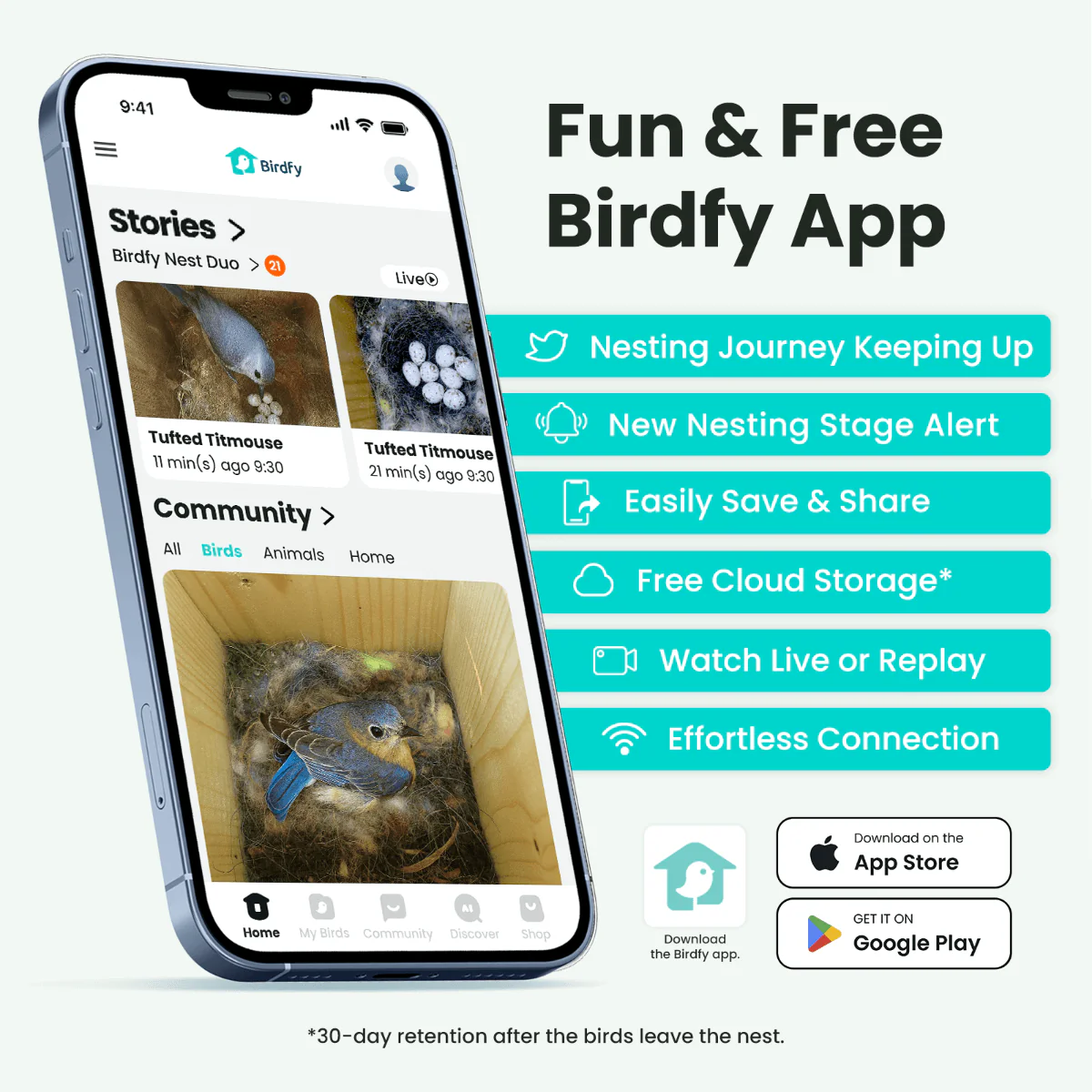 Birdfy Nest Duo - Smart Bird House with Dual Cameras - Image 8