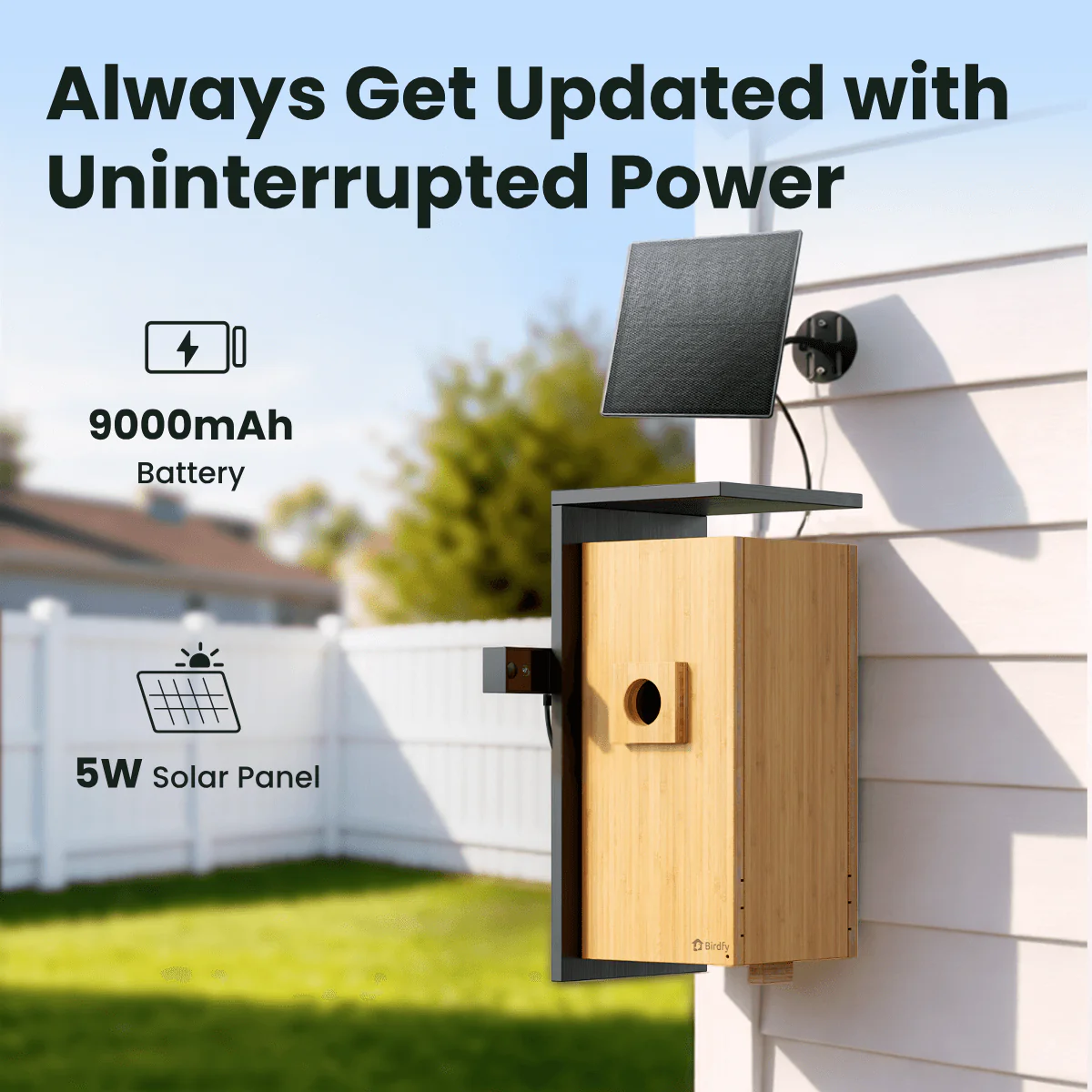 Birdfy Nest Duo - Smart Bird House with Dual Cameras - Image 9