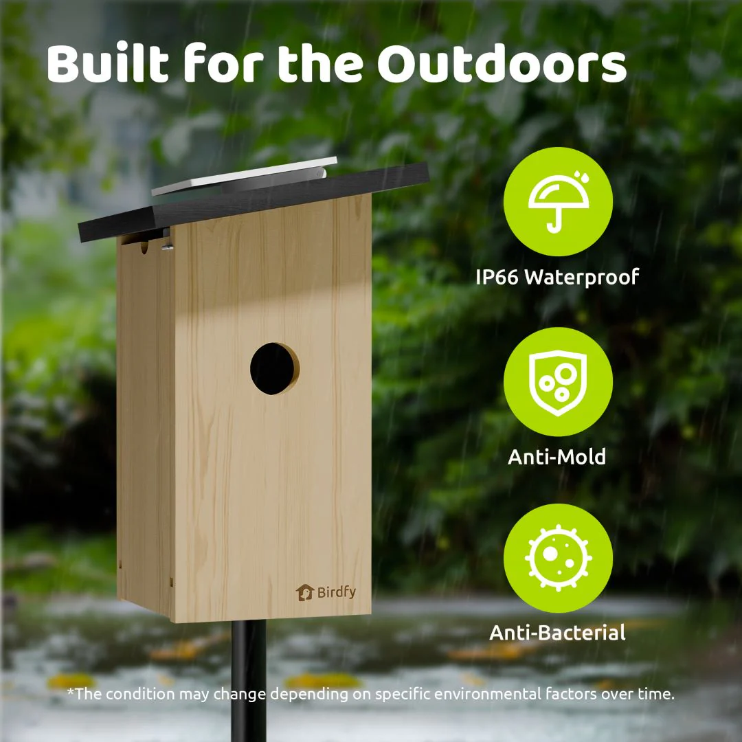 Birdfy Nest Ebony - Wooden Smart Birdhouse - Image 7