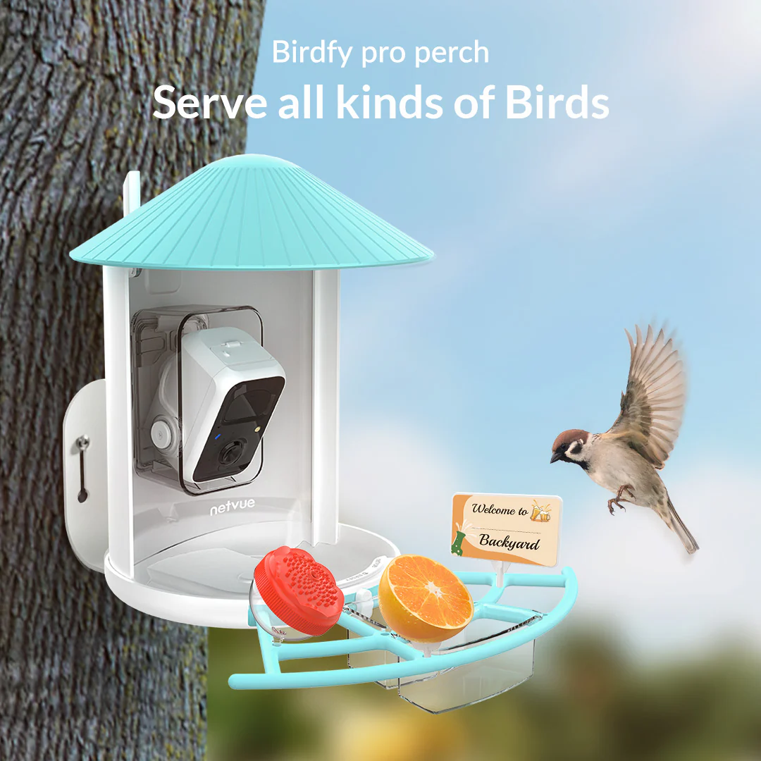 Birdfy Perch Pro Extension - Bird Feeder Extension - Image 5
