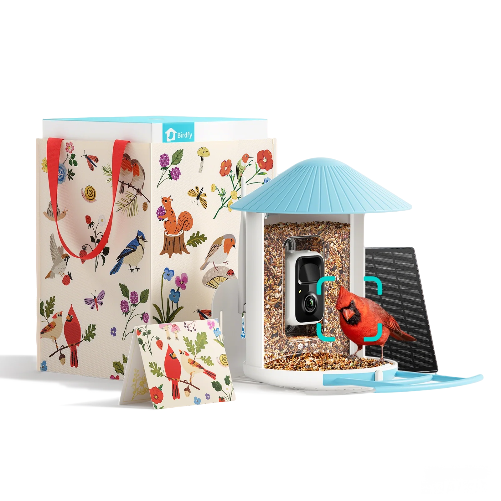 Birdfy Feeder -  Limited Father's Day Gift Set | Smart Bird Feeder with Camera - Image 12