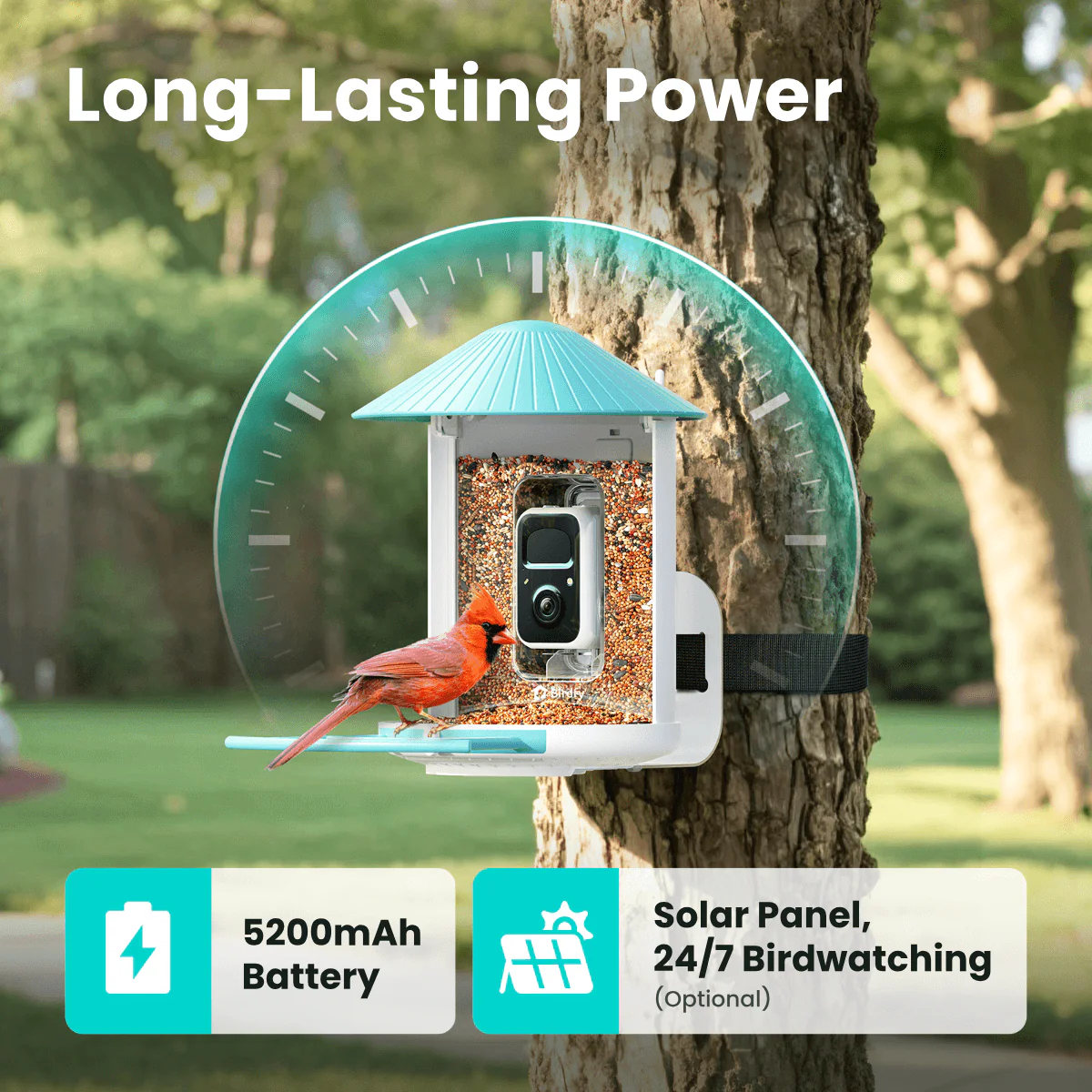 Birdfy Feeder with Solar Panel - Solar-Powered Smart Bird Feeder with Camera - Image 7
